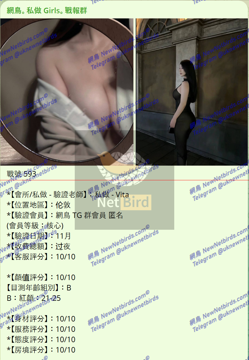 戰號 593 1.png